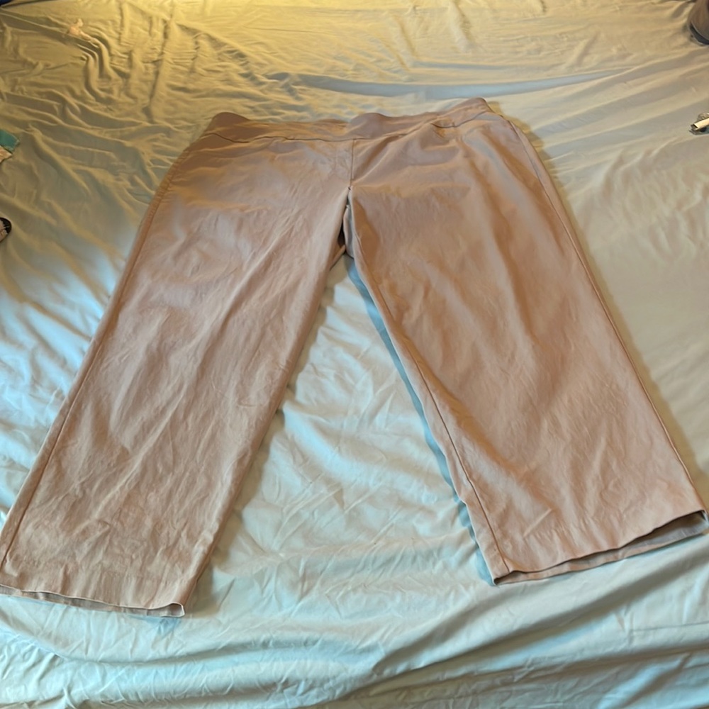24W Ruby Rd pull-on khaki pants in EUC.